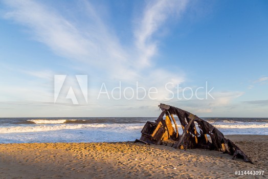 Bild på Pave de bateau sur la plage de La Pedrera en Uruguay